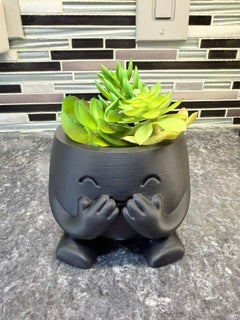 "Shy" Succulent Holder*