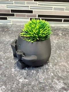 "Book Lover" Succulent Holder*
