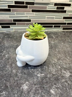 "Huggy" Succulent Holder*