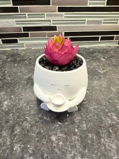 "Barista" Pot buddy