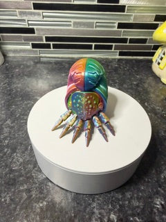 Nautilus