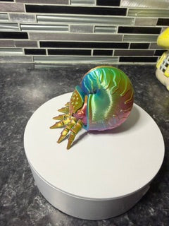 Nautilus