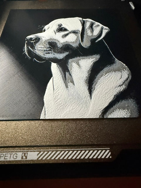 Artistic rendering of a yellow/white labrador