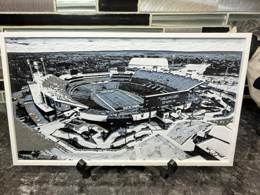 Highmark stadium print (the Ralph)