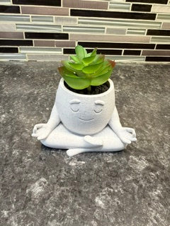 "Zen" Succulent Holder*