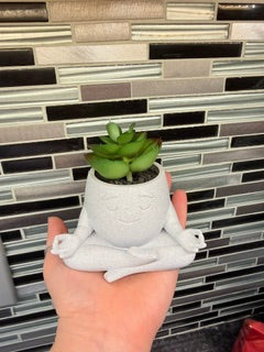 "Zen" Succulent Holder*