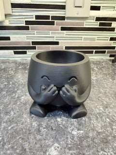 "Shy" Succulent Holder*