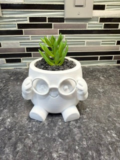 "Nerd" Succulent Holder*