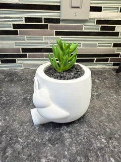 "Nerd" Succulent Holder*
