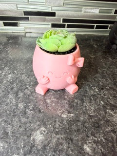 "Rosie" Pot buddy