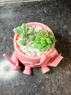 "Teacher" Pot buddy
