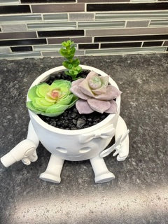 "Hair Dresser" Pot buddy