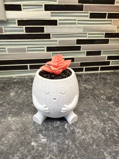 "Snoozy" Pot buddy