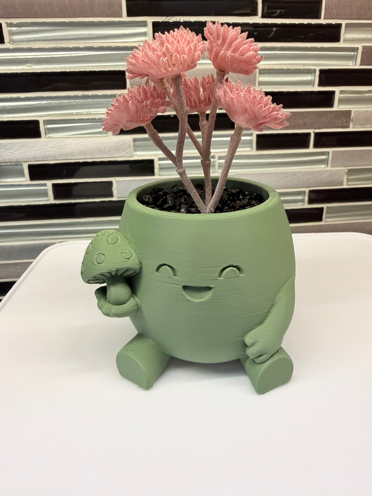 "Boomer" Succulent Holder*